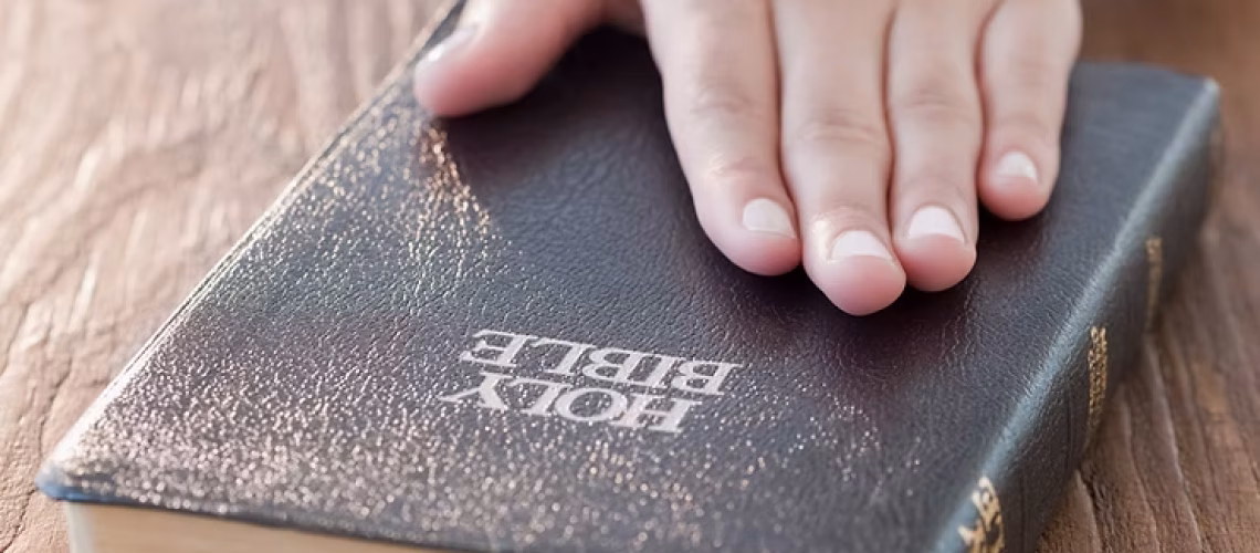 11062b_348306044d1442ed8e8c6a8652852408~mv2