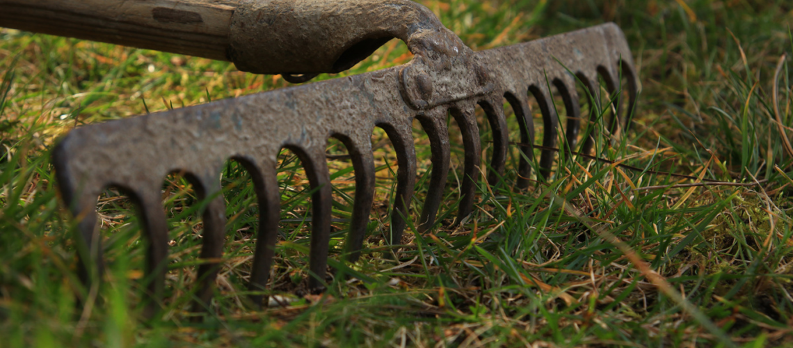 Rake